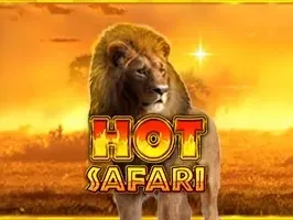Hot Safari