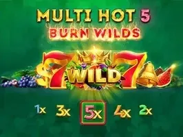 มัลติ ฮอต 5 เบิร์น ไวลด์ส game thumbnail